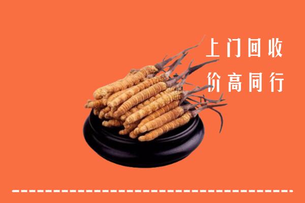 高价求购：寿光市回收散虫草