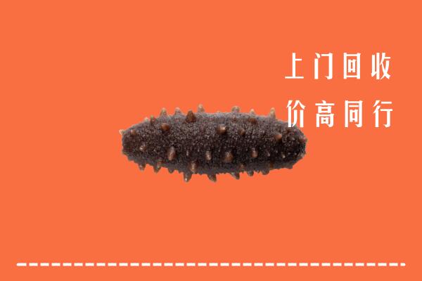 高价求购：寿光市回收海参