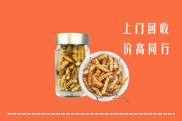 寿光市回收冬虫夏草